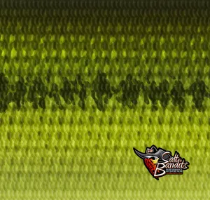 Bass Bundle
