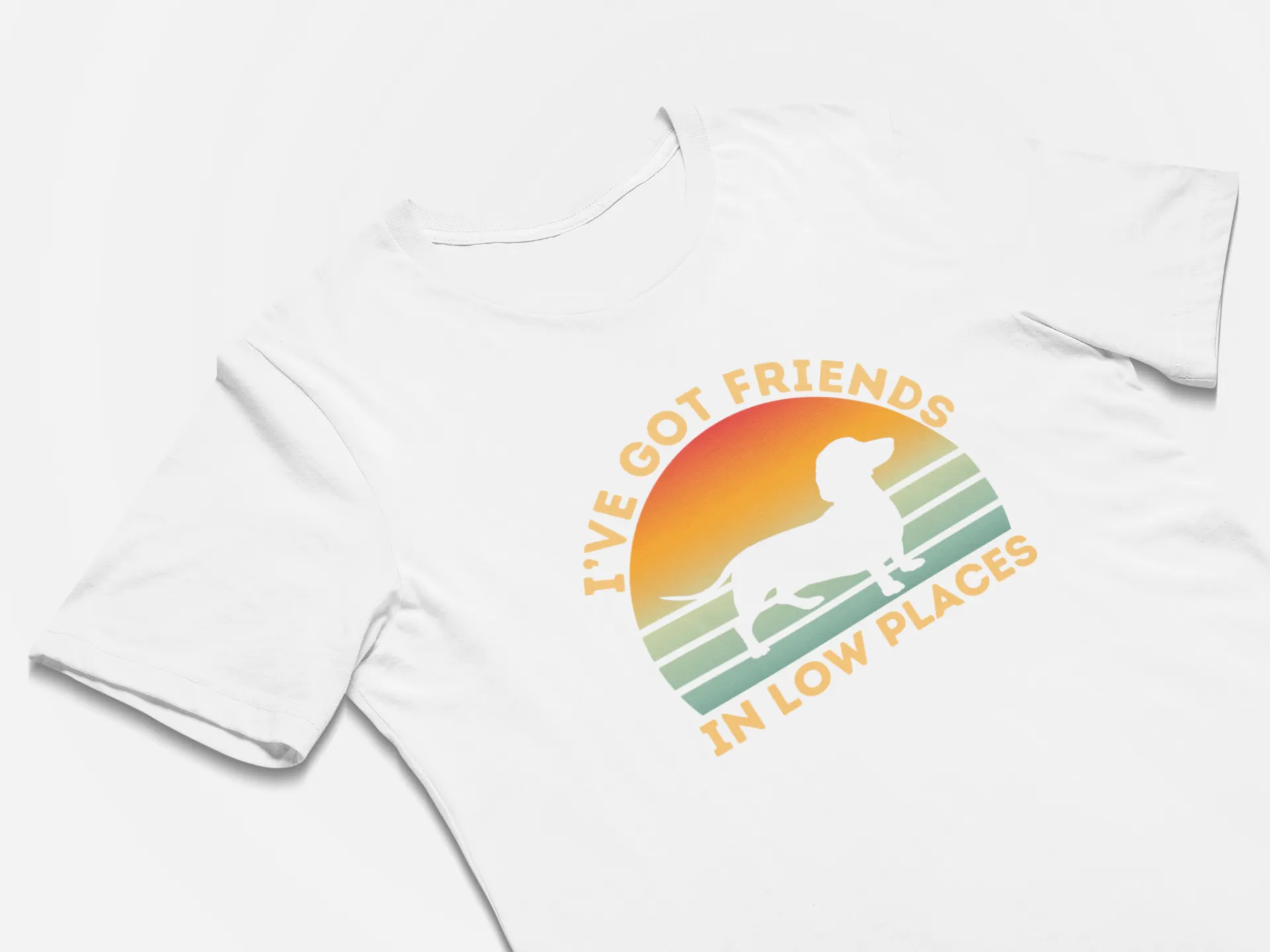 Funny Gift for Dachshund Lover Dachshund Mom Wiener Dog Shirt Gift I've Got Friends In Low Places
