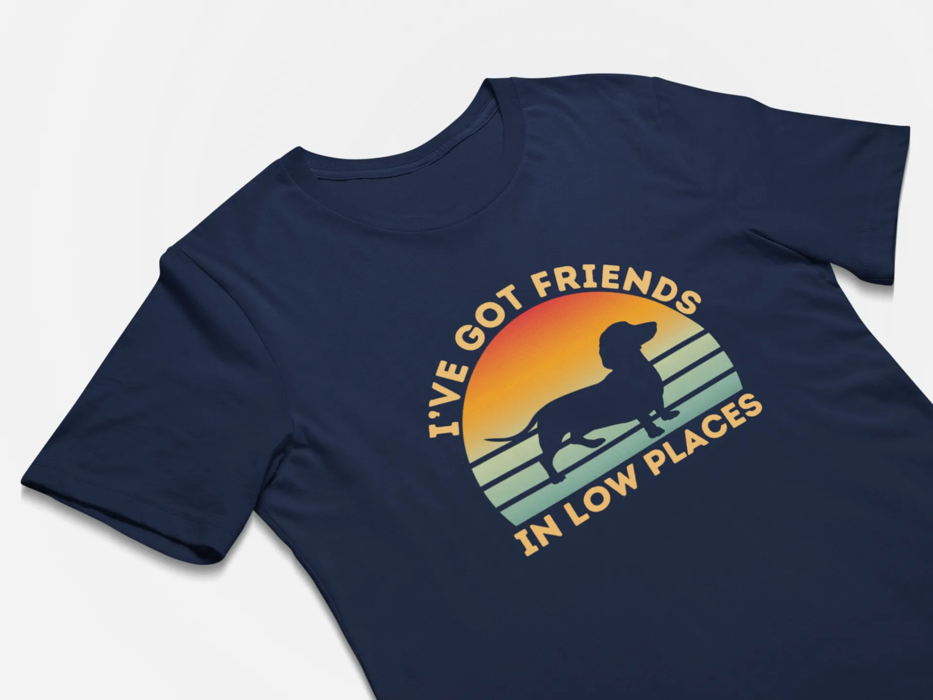 Funny Gift for Dachshund Lover Dachshund Mom Wiener Dog Shirt Gift I've Got Friends In Low Places