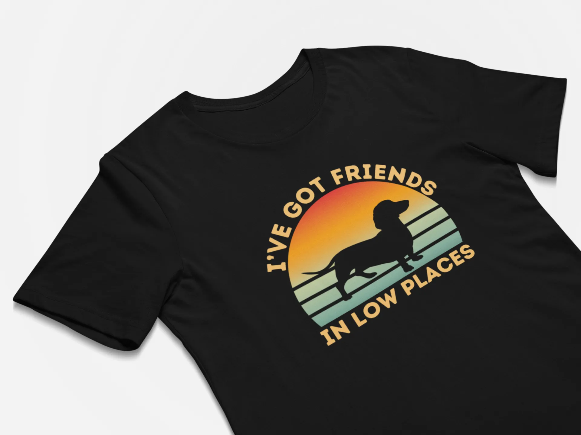Funny Gift for Dachshund Lover Dachshund Mom Wiener Dog Shirt Gift I've Got Friends In Low Places