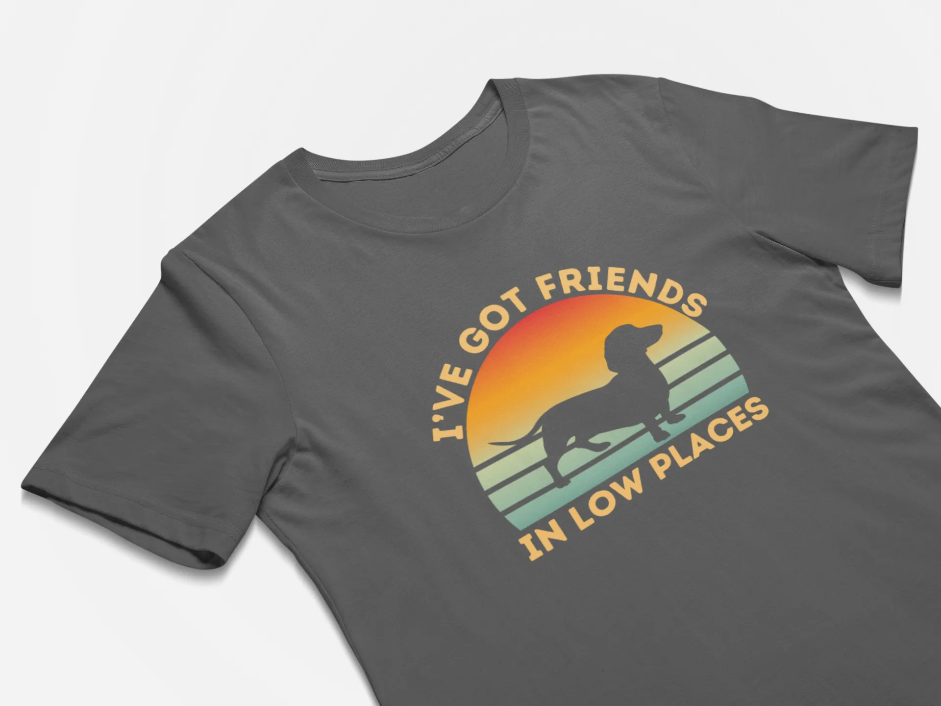 Funny Gift for Dachshund Lover Dachshund Mom Wiener Dog Shirt Gift I've Got Friends In Low Places