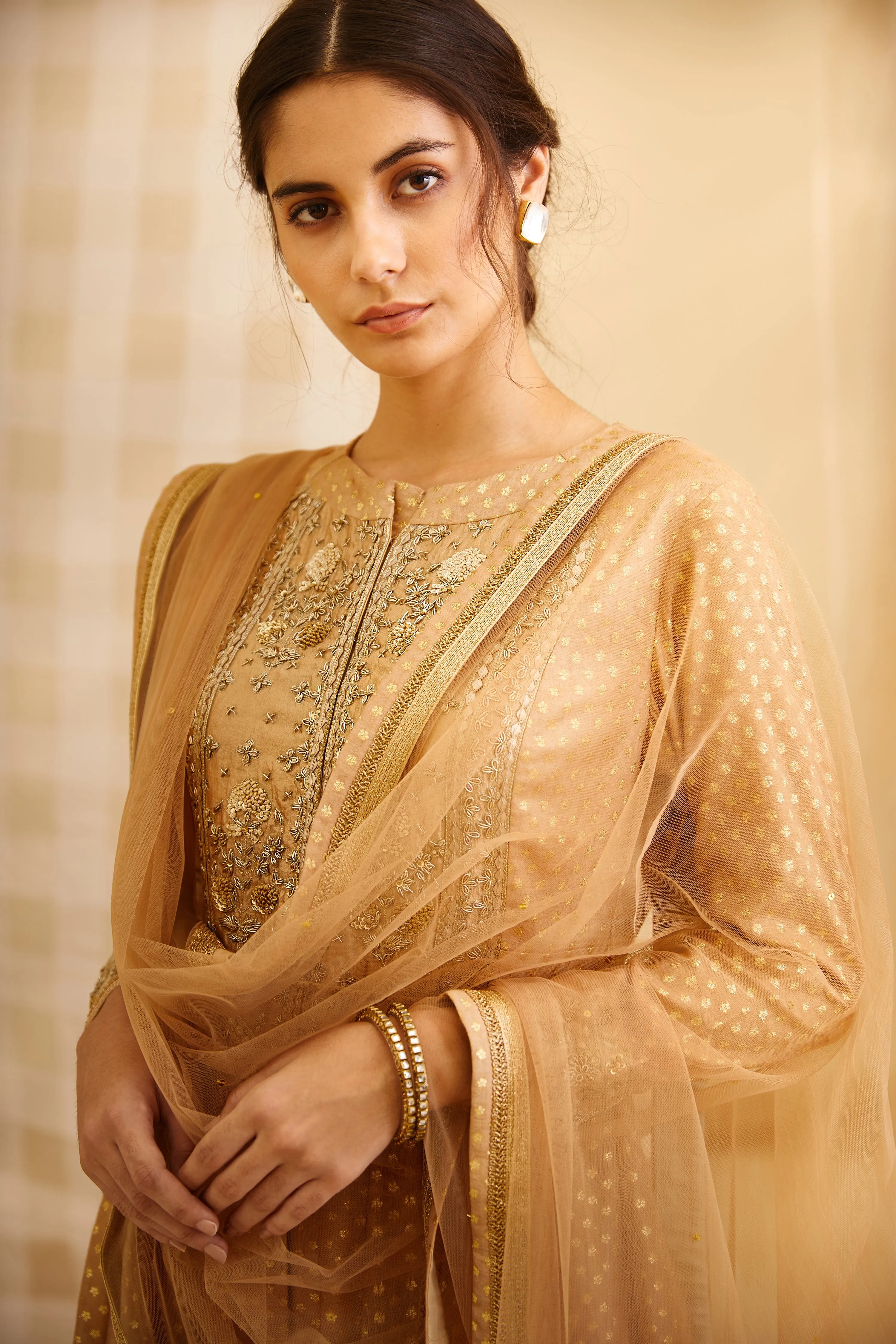 Gold Embroidered Anarkali Set