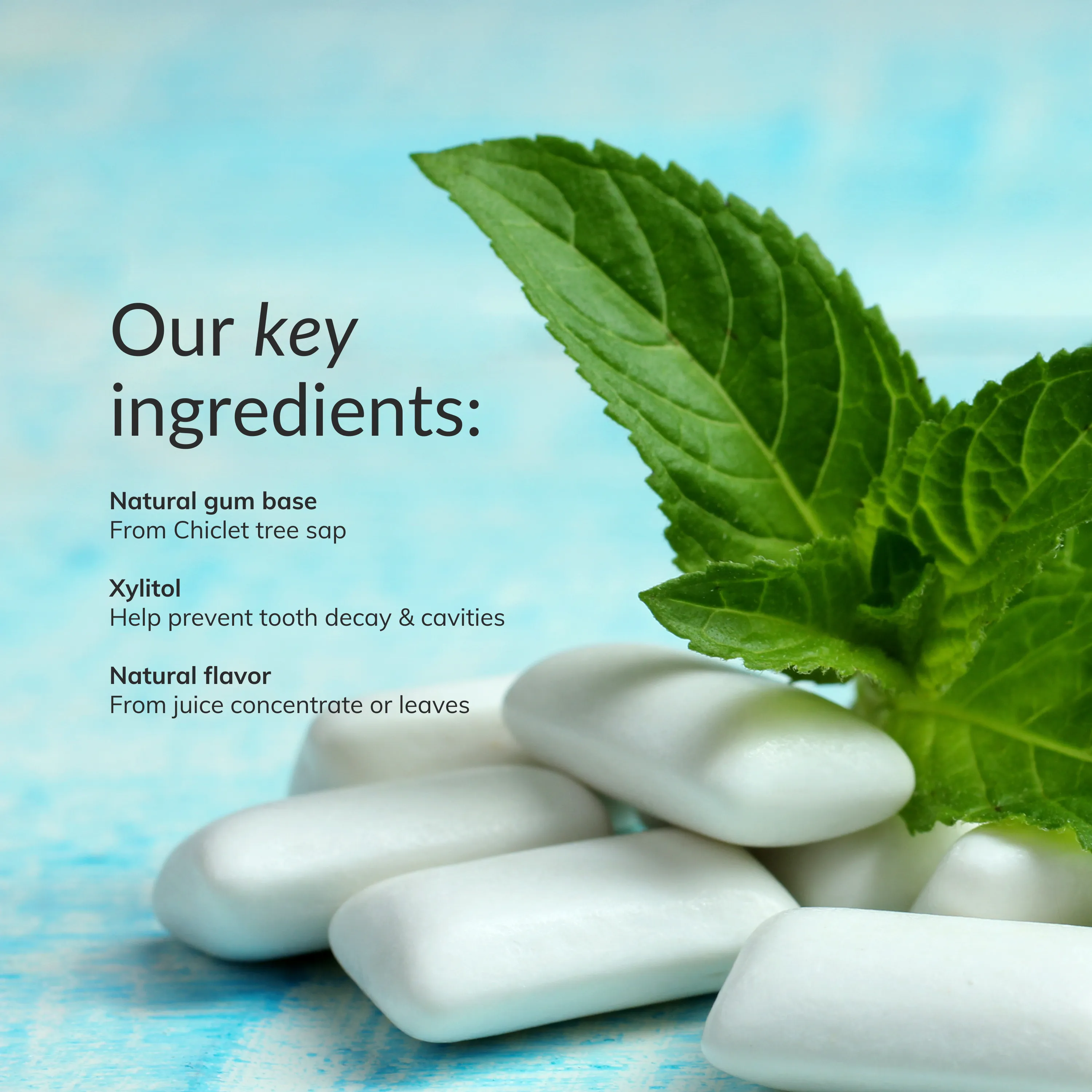 Natural Chewing Gum - Spearmint (84pcs)
