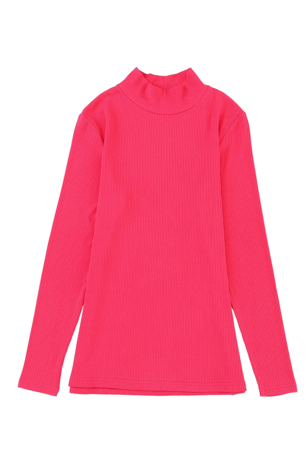 Ribbed Knit High Neck Top