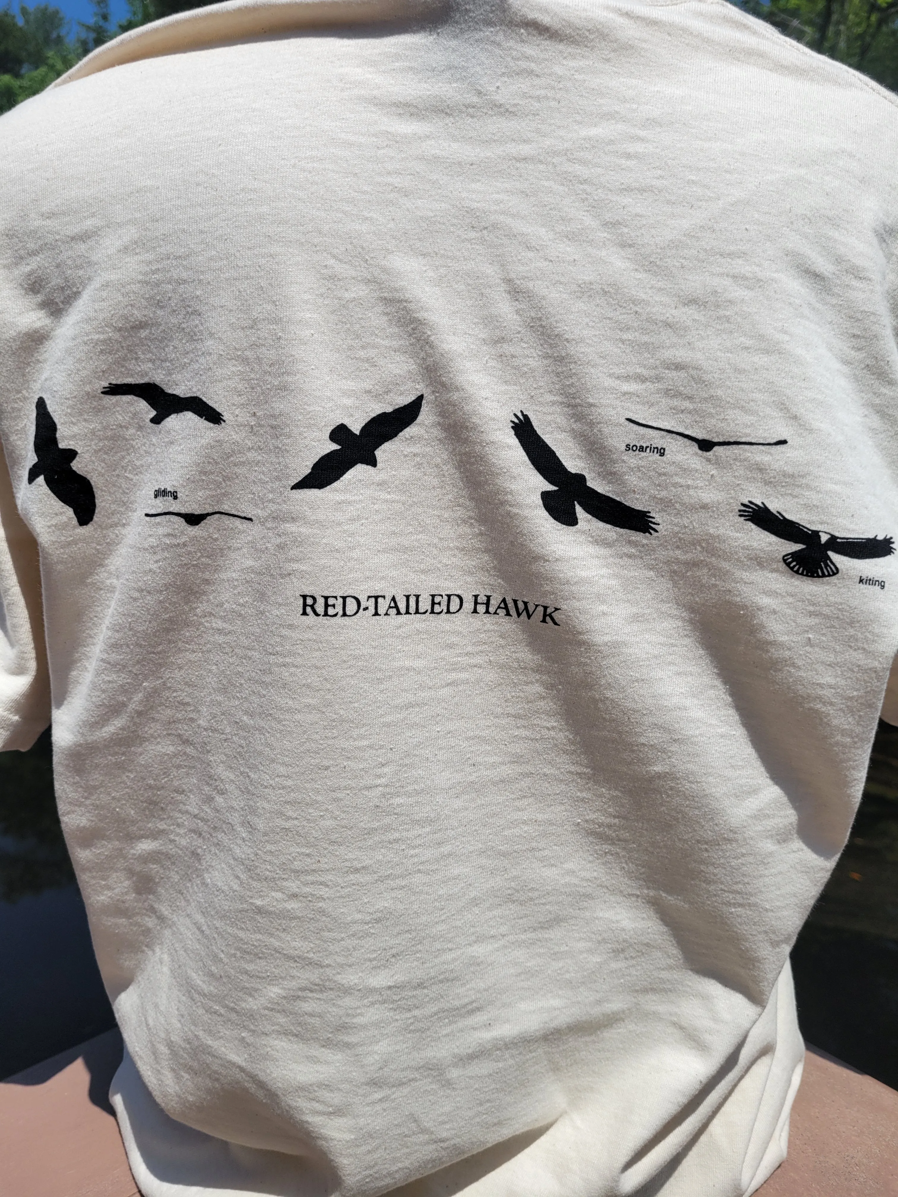 SALE- Red-Tailed Hawk T-Shirt