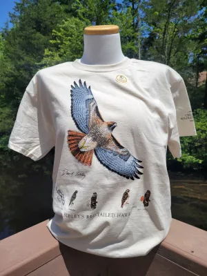 SALE- Red-Tailed Hawk T-Shirt