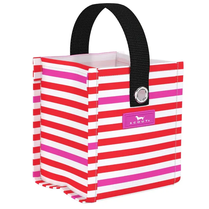 Scout Mini Package - Ready to Jingle