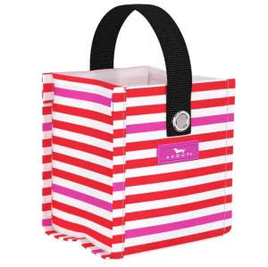 Scout Mini Package - Ready to Jingle