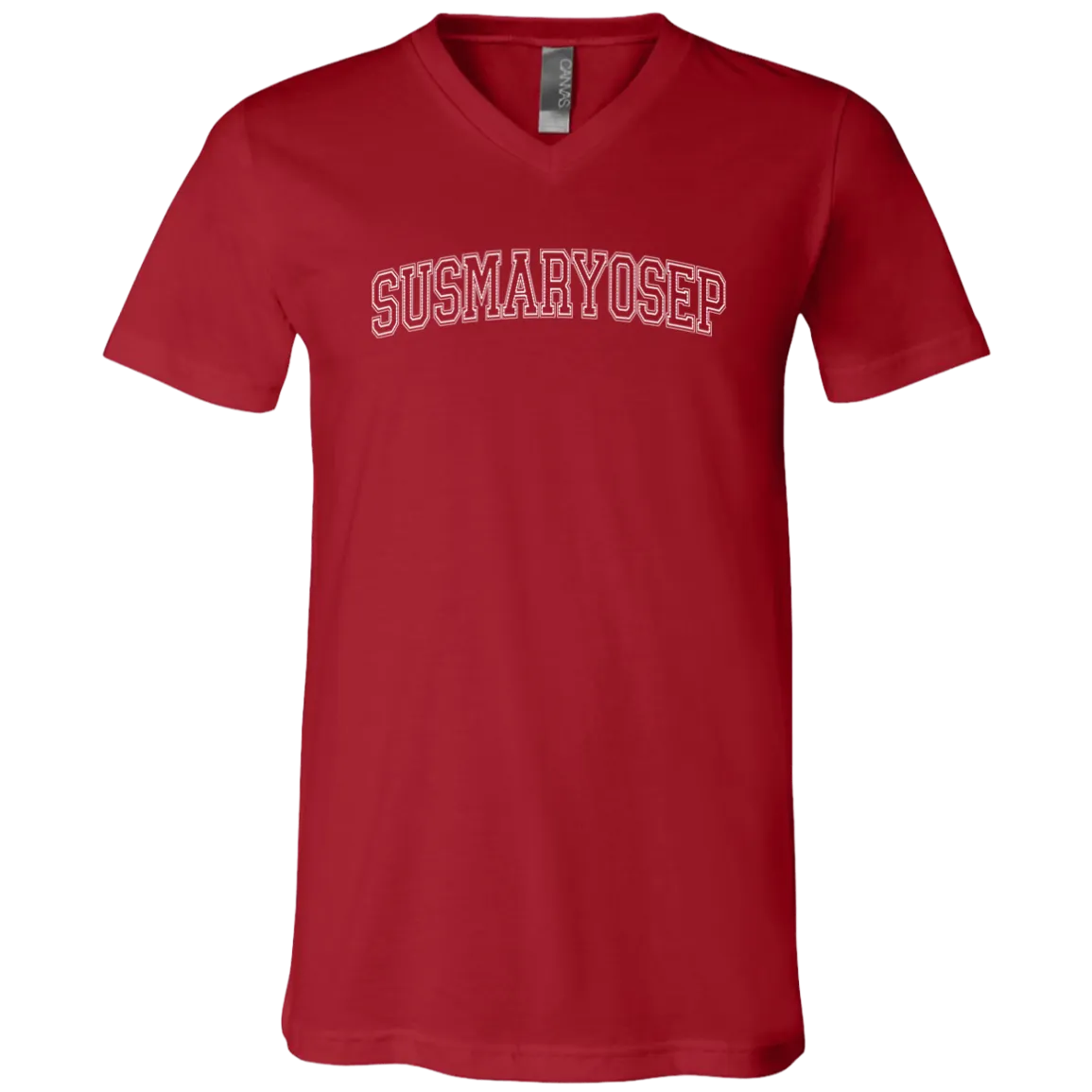 Susmaryosep Arch Unisex Jersey V-Neck T-Shirt
