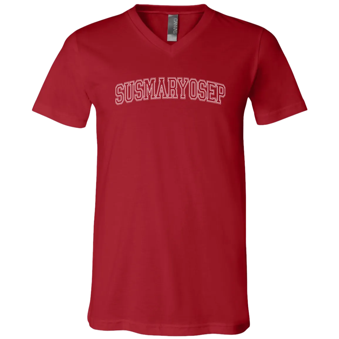 Susmaryosep Arch Unisex Jersey V-Neck T-Shirt