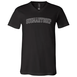 Susmaryosep Arch Unisex Jersey V-Neck T-Shirt