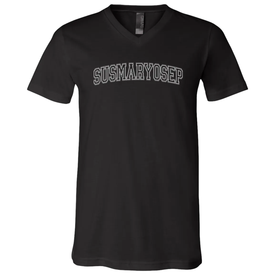 Susmaryosep Arch Unisex Jersey V-Neck T-Shirt