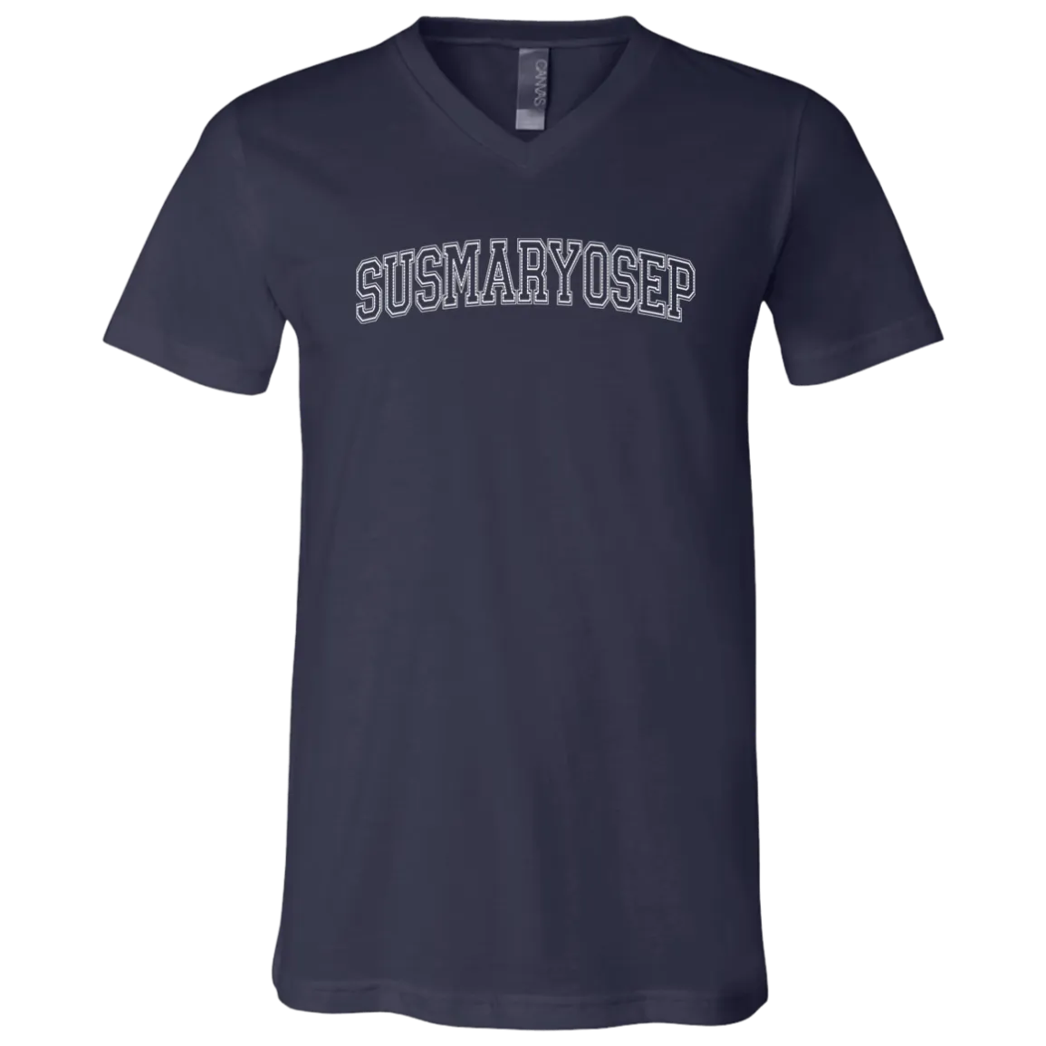 Susmaryosep Arch Unisex Jersey V-Neck T-Shirt