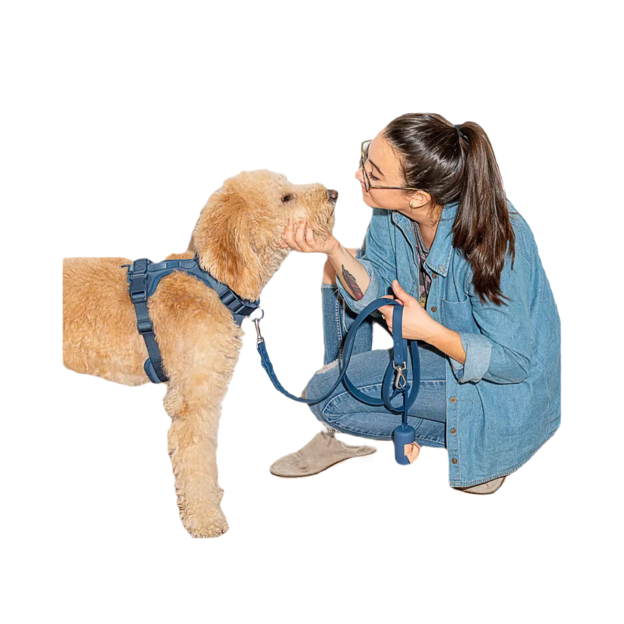 Wild One Dog Poop Bag Dispenser Holder - Navy